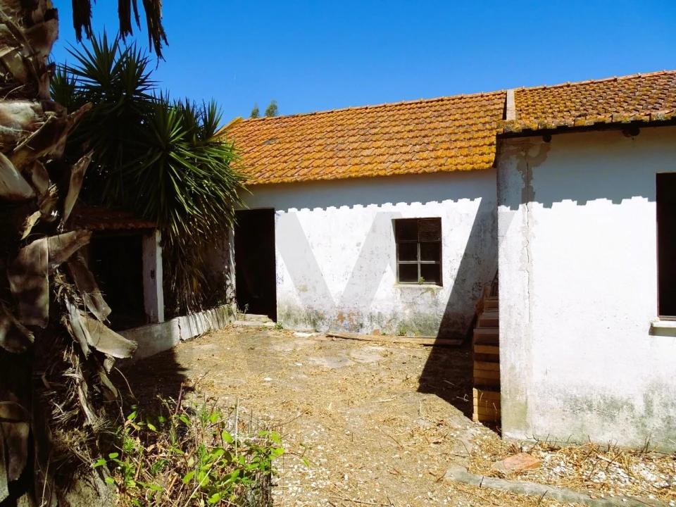 Quinta para Venda em Branca Foto 14