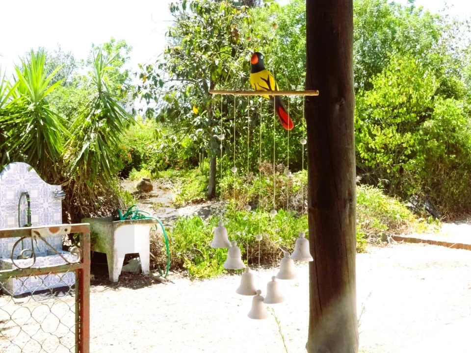 Quinta para Venda em Branca Foto 10