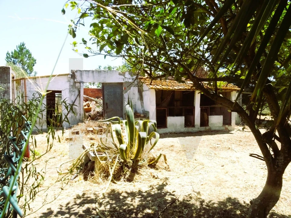 Quinta para Venda em Branca Foto 36