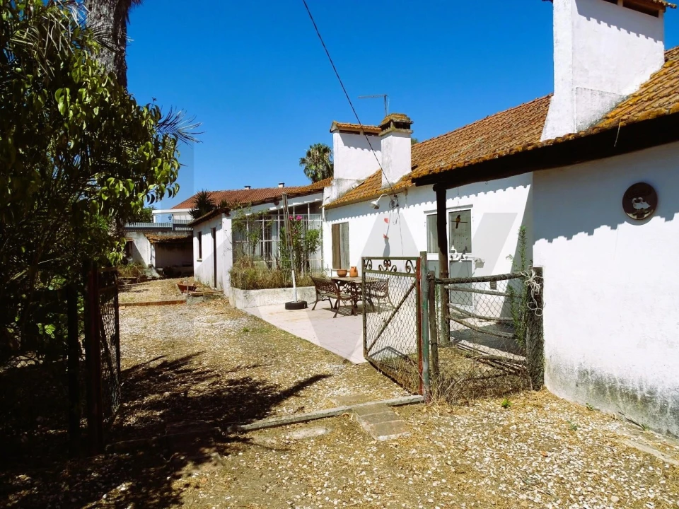 Quinta para Venda em Branca Foto 3