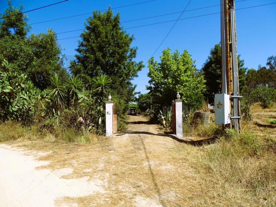Quinta para Venda em Branca Foto 1