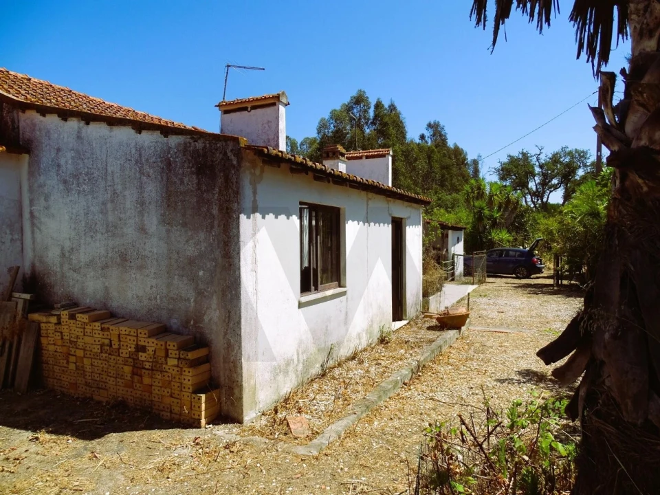 Quinta para Venda em Branca Foto 13