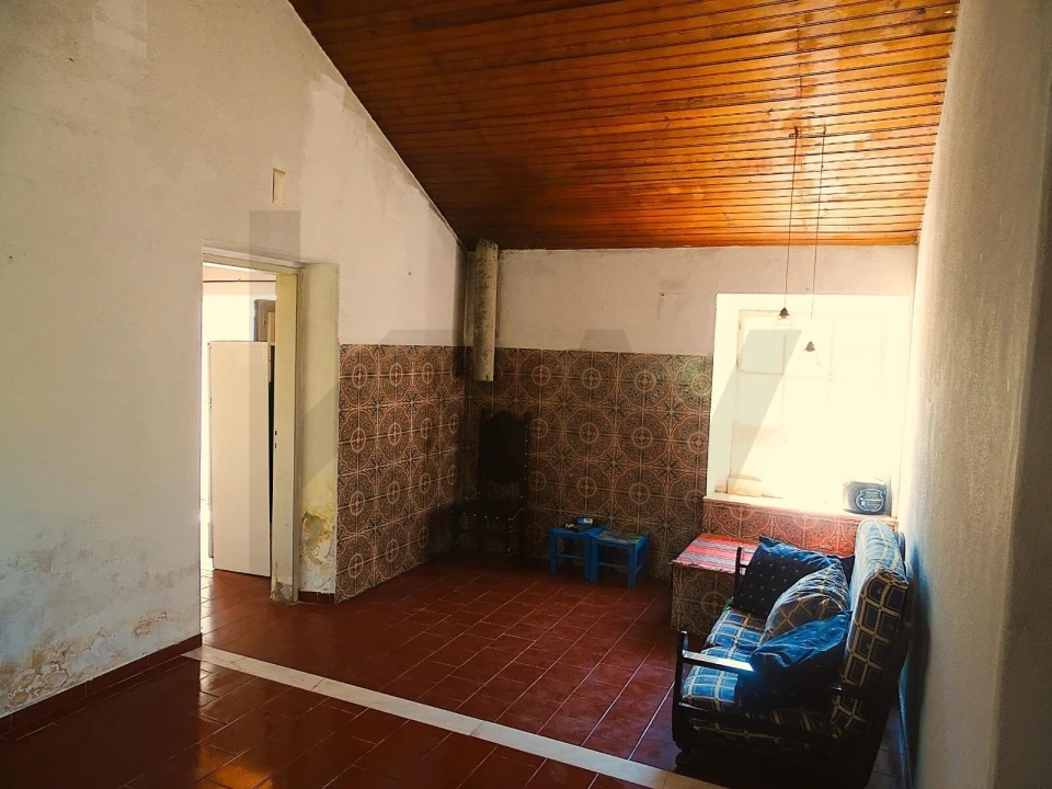 Quinta para Venda em Branca Foto 22