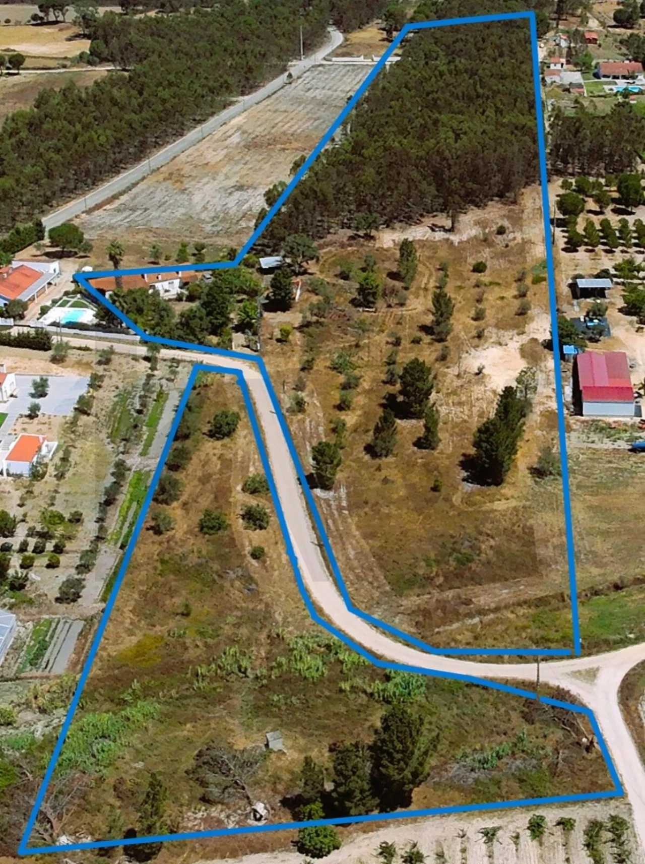 Quinta para Venda em Branca Foto 42