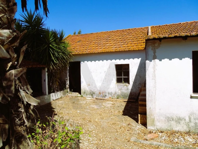 Quinta para Venda em Branca Foto 14