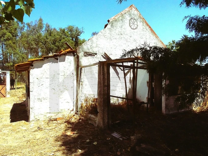 Quinta para Venda em Branca Foto 38