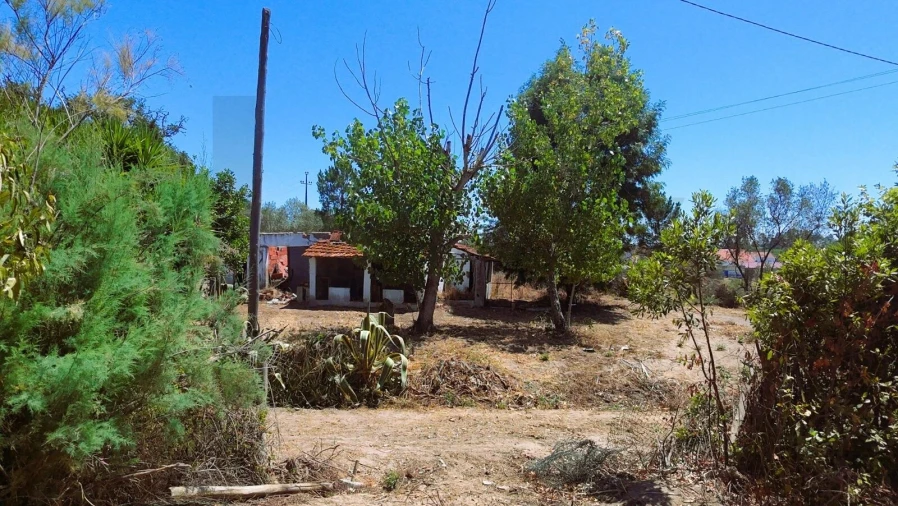 Quinta para Venda em Branca Foto 31