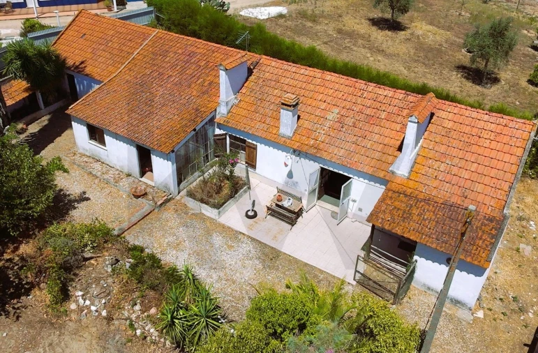 Quinta para Venda em Branca Foto 4