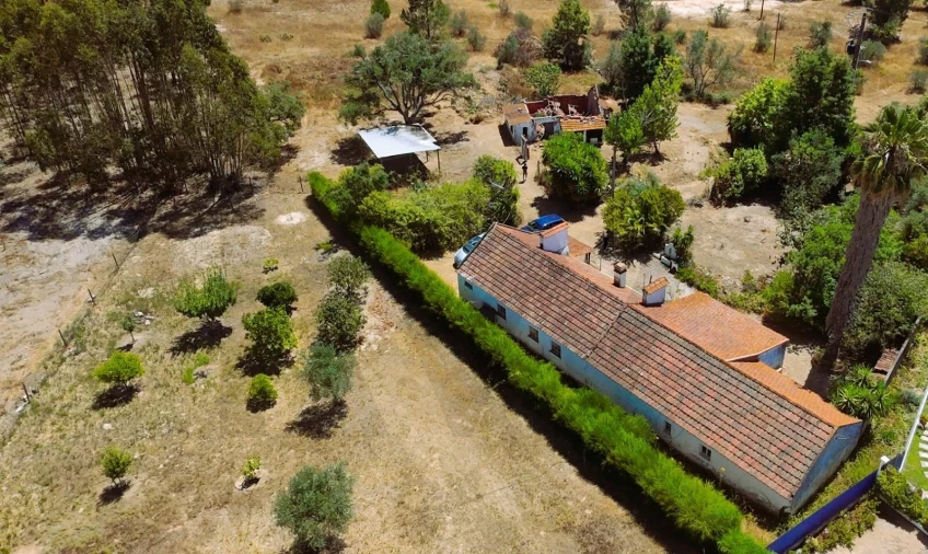 Quinta para Venda em Branca Foto 40