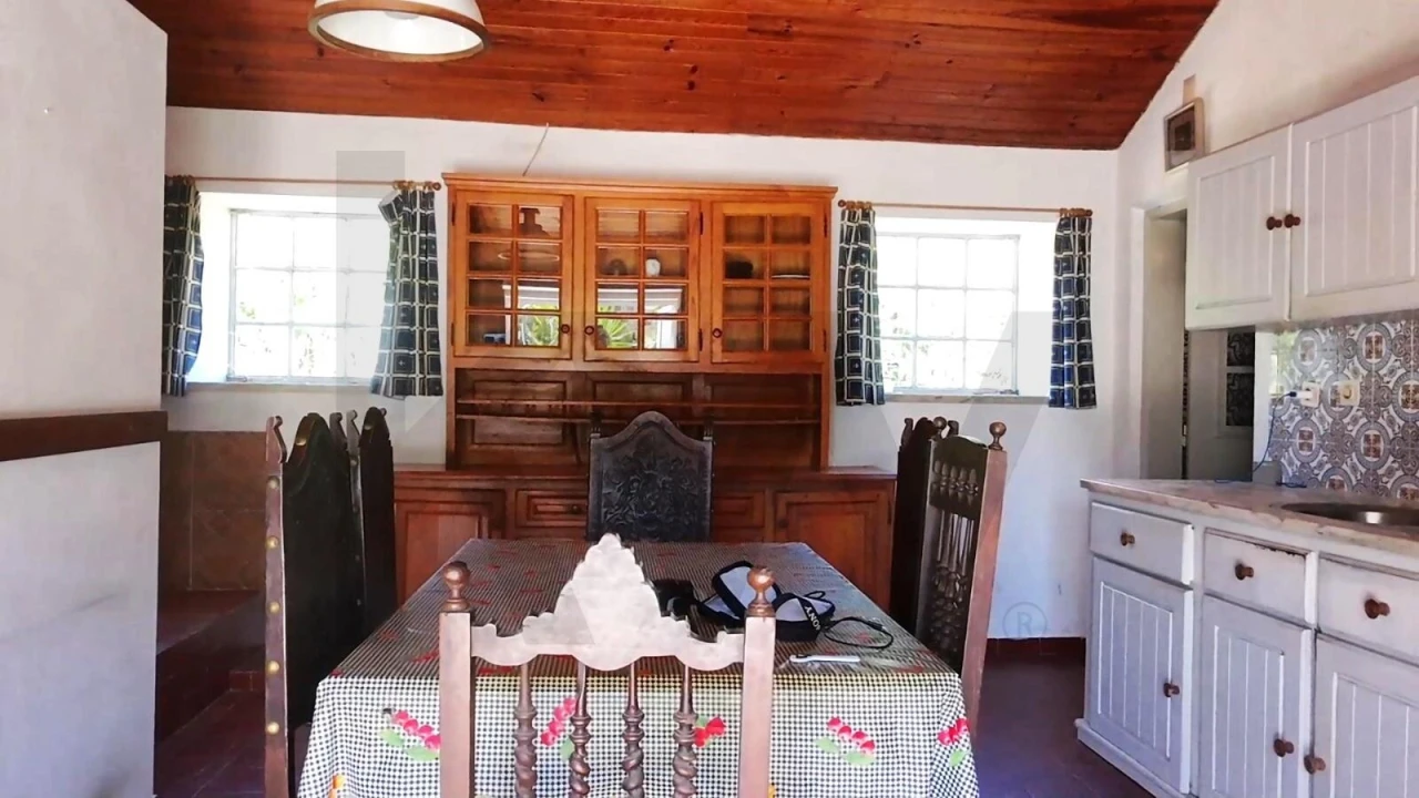 Quinta para Venda em Branca Foto 15