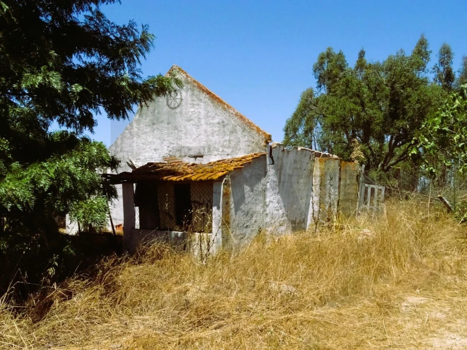 Quinta para Venda em Branca Foto 37