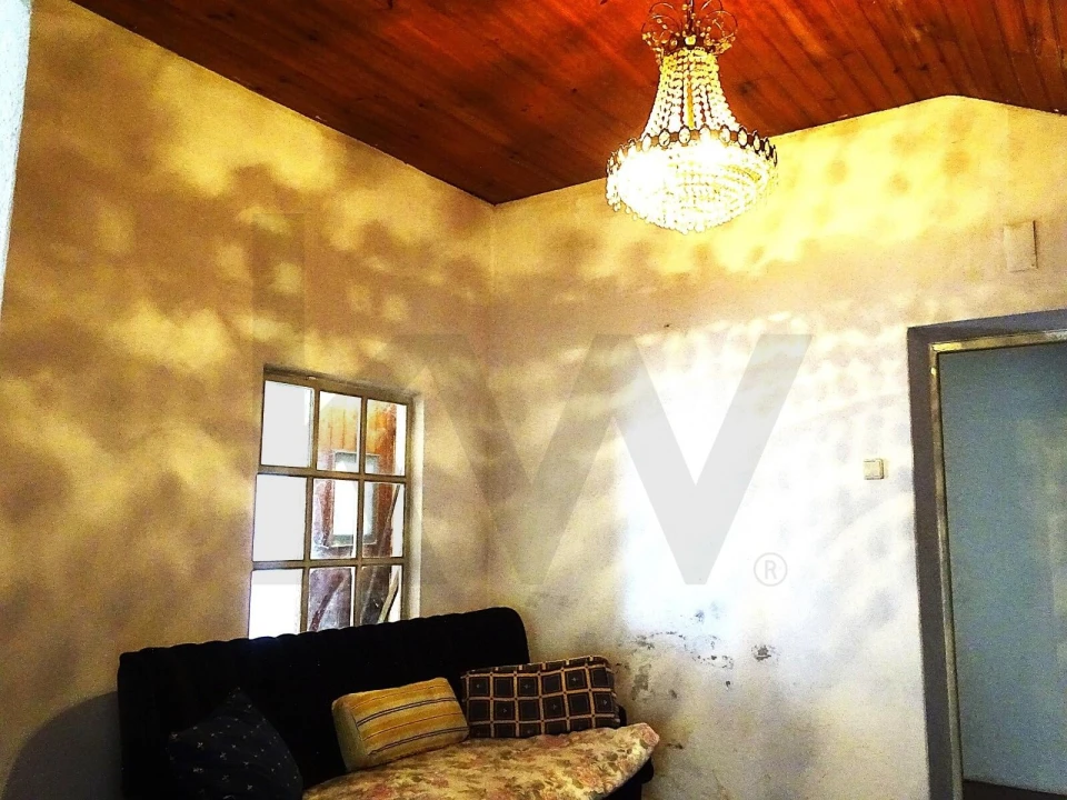 Quinta para Venda em Branca Foto 21