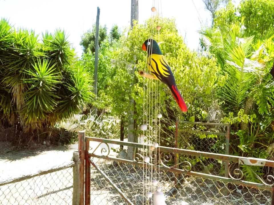 Quinta para Venda em Branca Foto 8