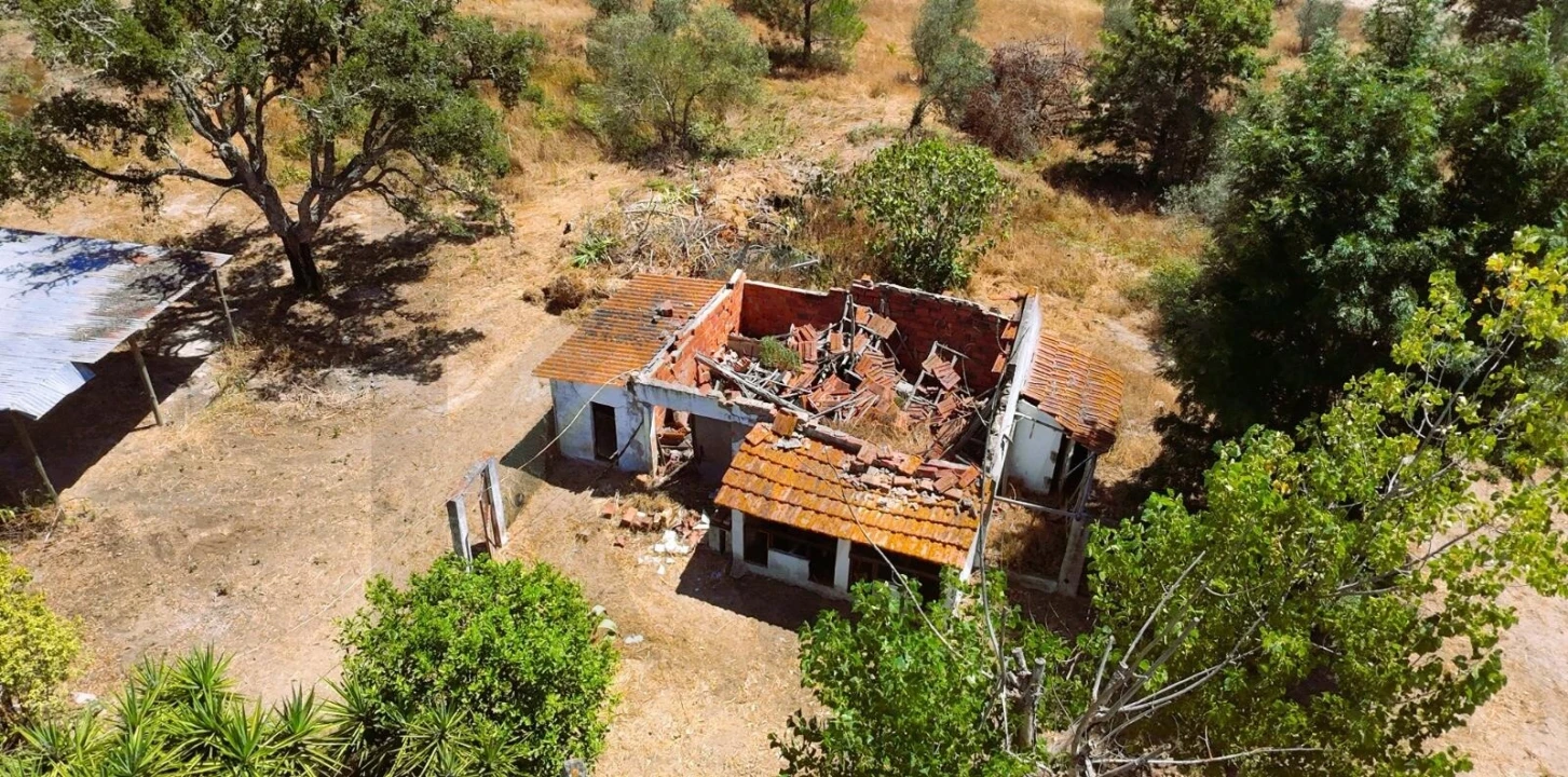 Quinta para Venda em Branca Foto 33