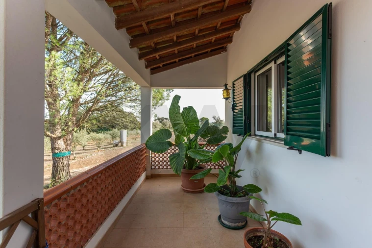 Quinta T5 para Venda em Almoster Foto 25