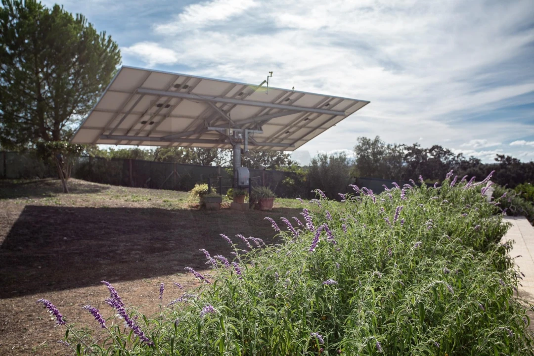 Quinta T5 para Venda em Almoster Foto 8