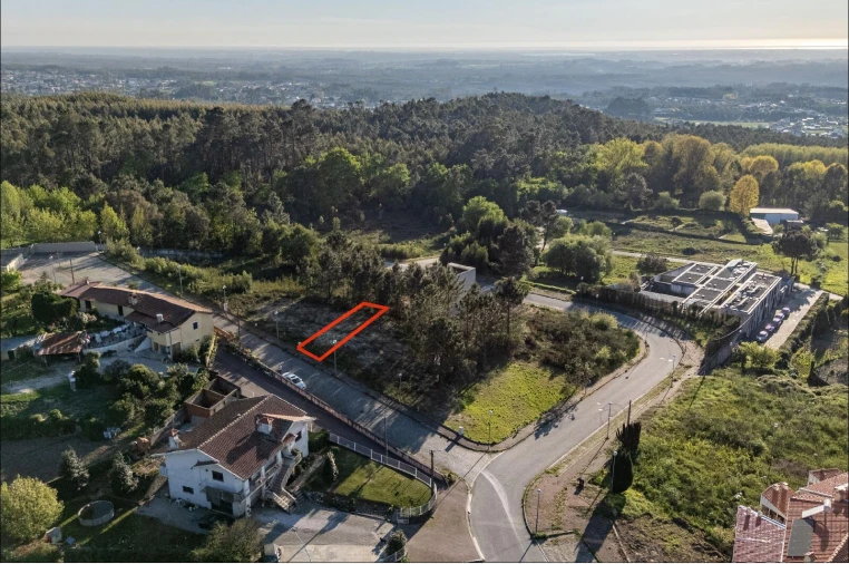 Terreno para Venda em Pinheiro da Bemposta, Travanca e Palmaz Foto 3