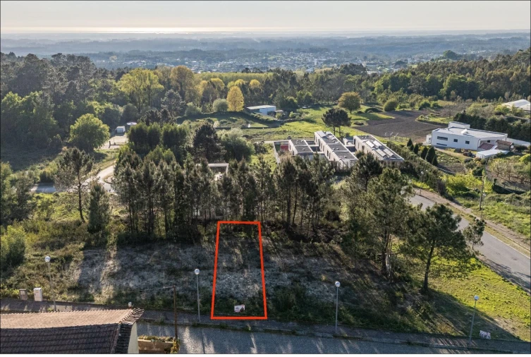 Terreno para Venda em Pinheiro da Bemposta, Travanca e Palmaz Foto 2