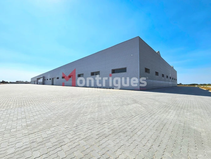 Armazém para Arrendamento em Pegões Foto 2