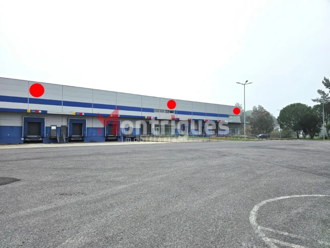 Armazém para Arrendamento em Benavente Foto 3