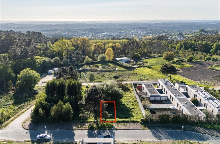 Terreno para Venda em Pinheiro da Bemposta, Travanca e Palmaz Foto 3