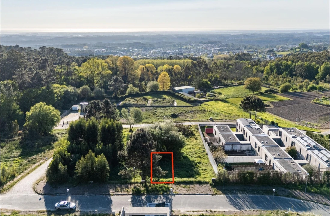 Terreno para Venda em Pinheiro da Bemposta, Travanca e Palmaz Foto 3