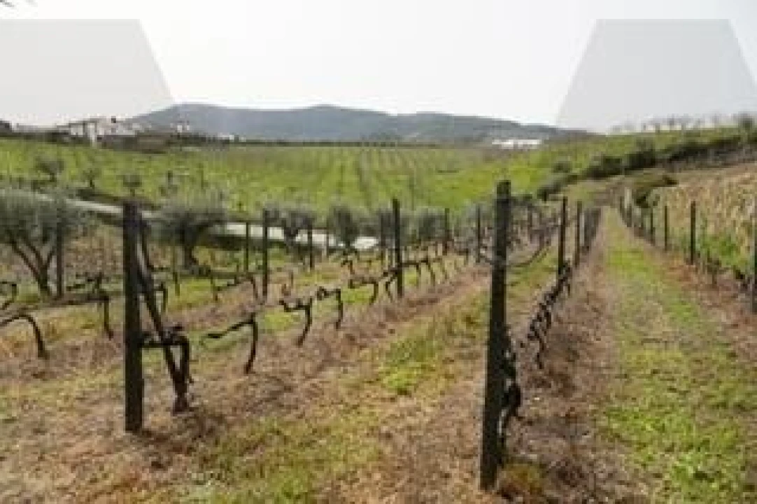 Moradia T4 para Venda em Celeiros Foto 7