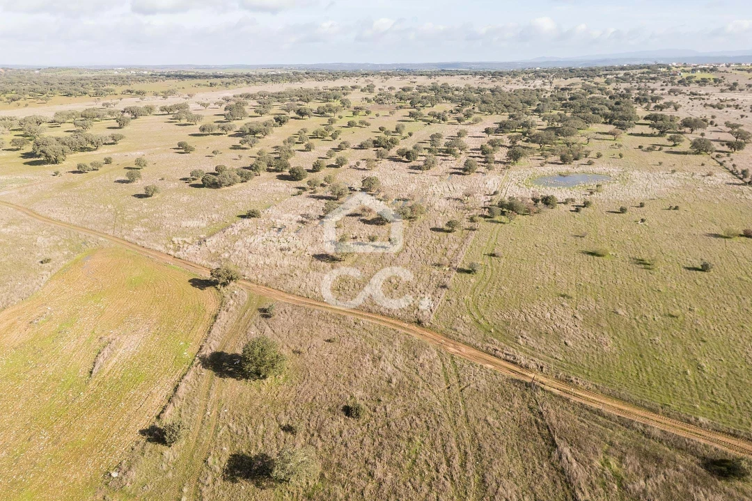 Terreno para Venda em Capelins (Santo Antonio) Foto 22
