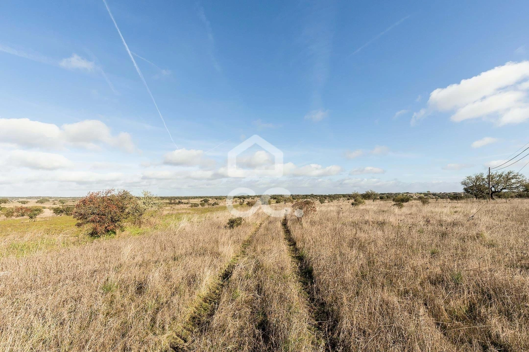 Terreno para Venda em Capelins (Santo Antonio) Foto 2