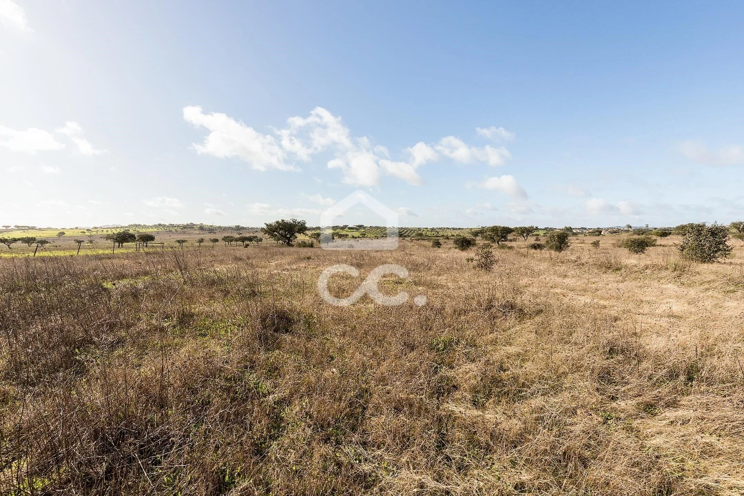 Terreno para Venda em Capelins (Santo Antonio) Foto 12