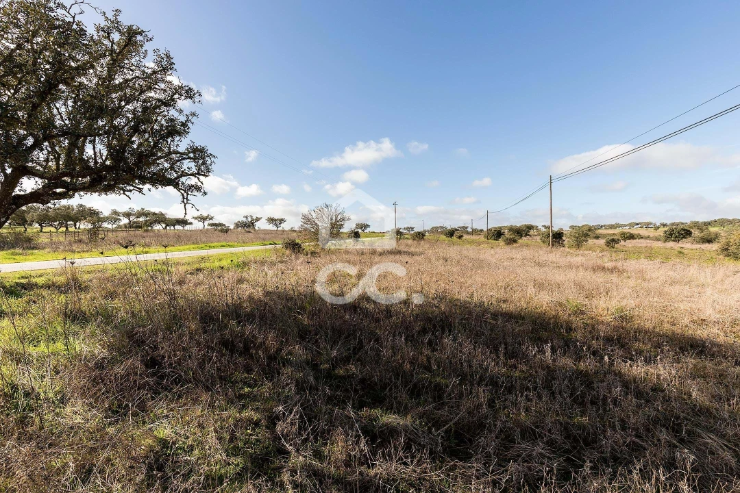 Terreno para Venda em Capelins (Santo Antonio) Foto 9