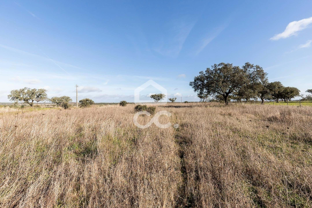 Terreno para Venda em Capelins (Santo Antonio) Foto 13