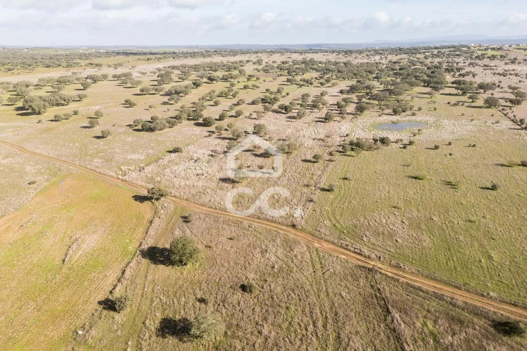 Terreno para Venda em Capelins (Santo Antonio) Foto 22