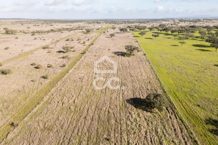 Terreno para Venda em Capelins (Santo Antonio) Foto 46