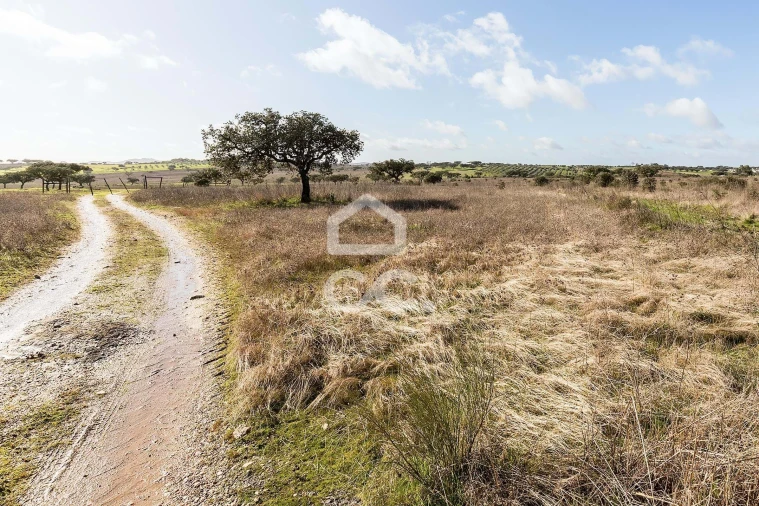 Terreno para Venda em Capelins (Santo Antonio) Foto 11