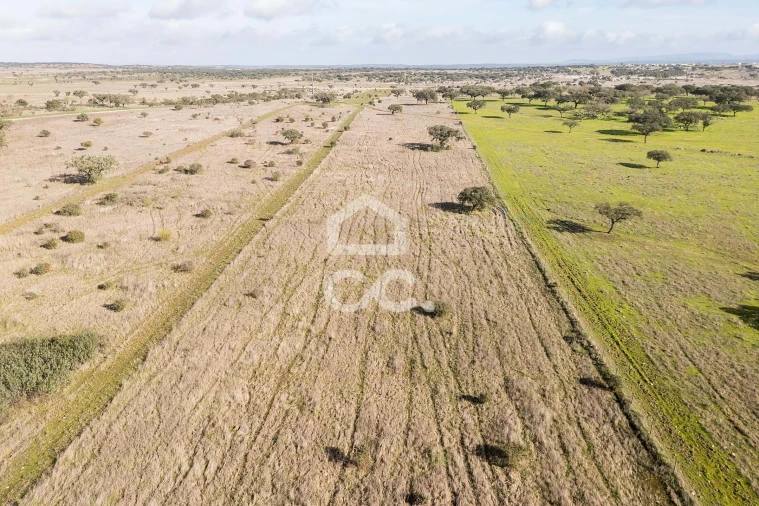 Terreno para Venda em Capelins (Santo Antonio) Foto 45