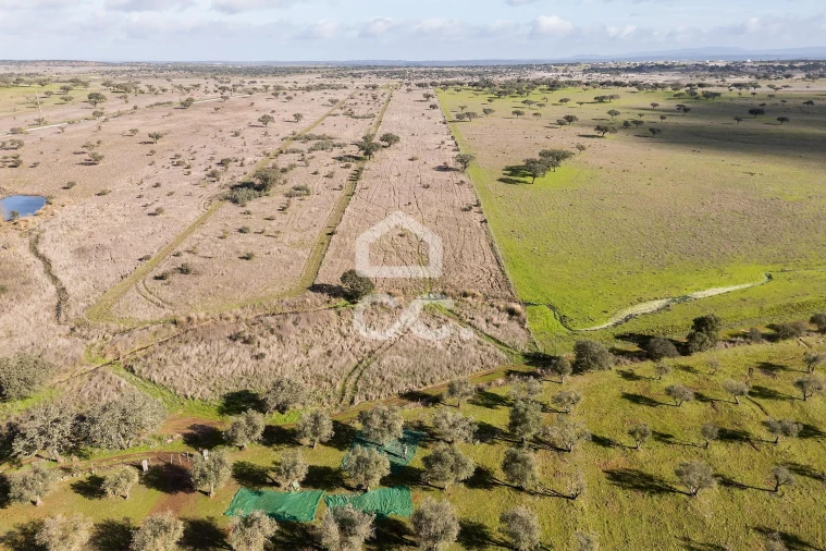 Terreno para Venda em Capelins (Santo Antonio) Foto 40
