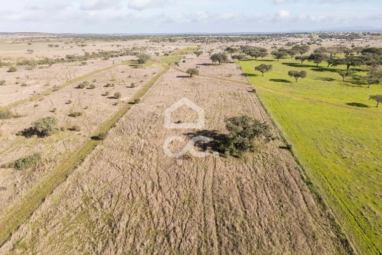 Terreno para Venda em Capelins (Santo Antonio) Foto 47
