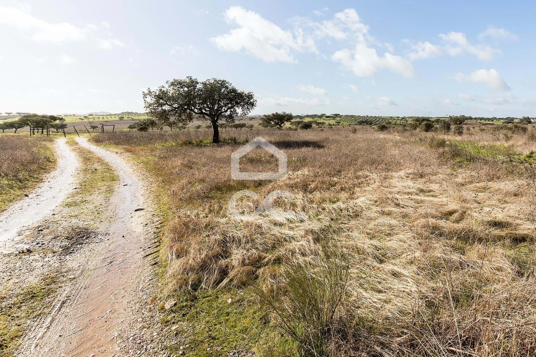 Terreno para Venda em Capelins (Santo Antonio) Foto 11
