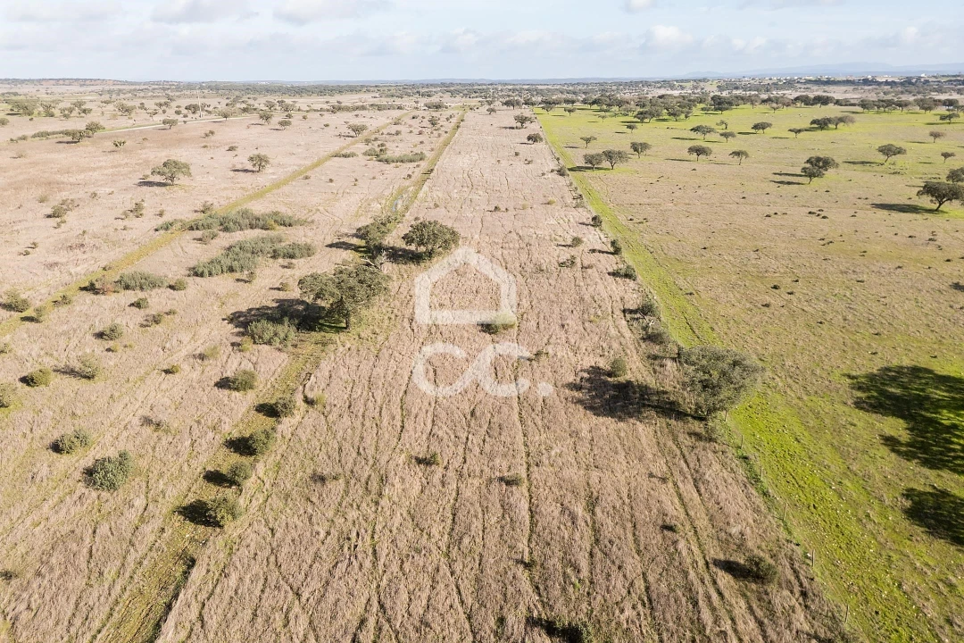 Terreno para Venda em Capelins (Santo Antonio) Foto 42