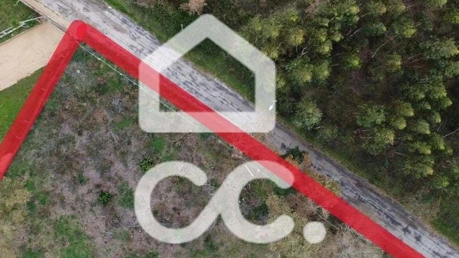 Terreno para Venda em Avelar