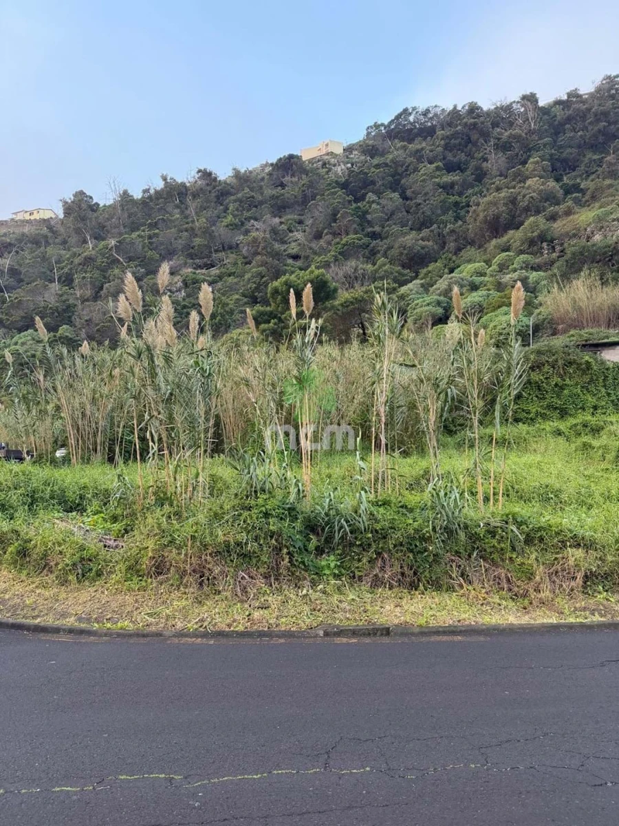 Terreno para Venda em Santa Cruz Foto 1