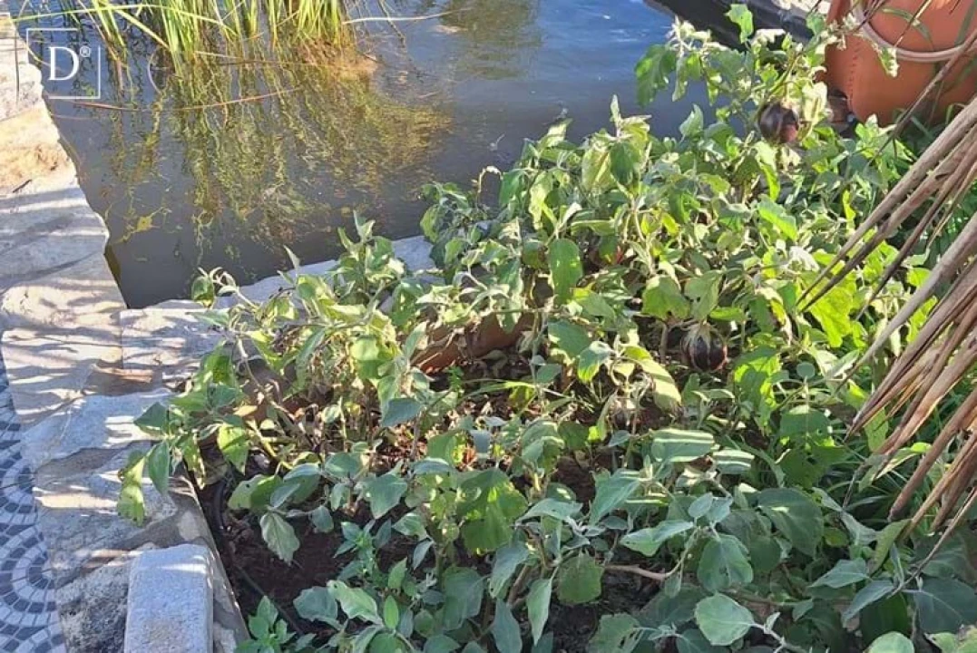 Moradia T4 para Venda em São Silvestre Foto 34