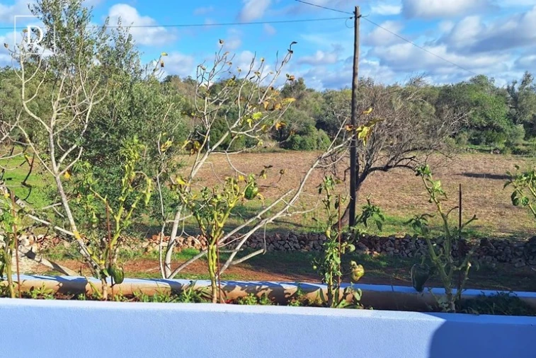 Moradia T4 para Venda em São Silvestre Foto 33