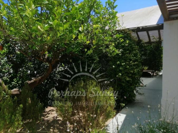 Moradia T3 para Venda em Carvalhal Foto 40