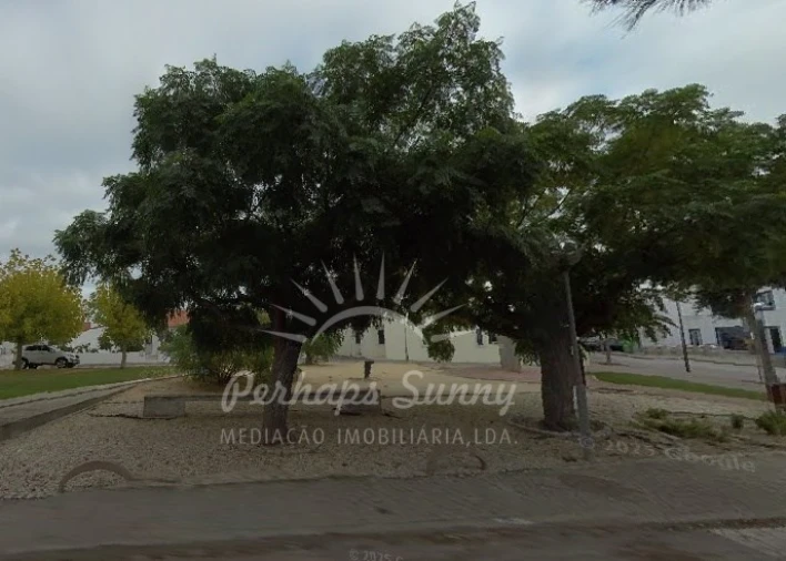 Loja para Arrendamento em Carvalhal Foto 3