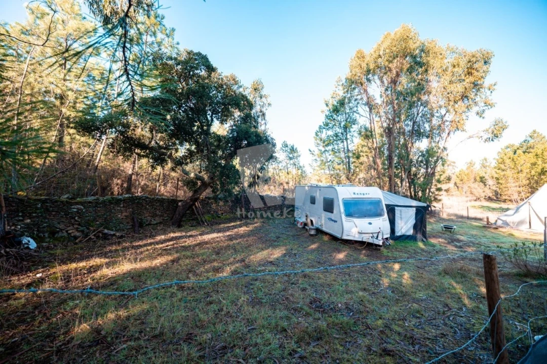 Terreno Agricola ou Rústico para Venda em Benquerenças Foto 13