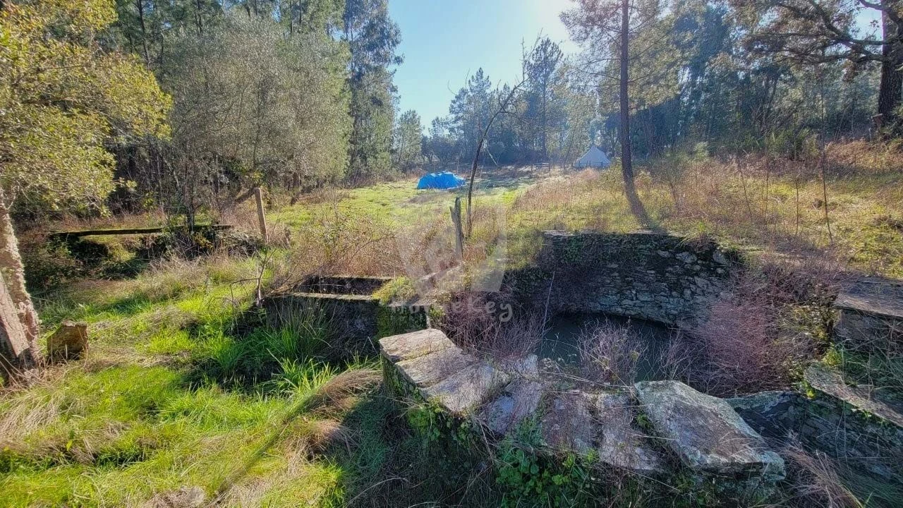 Terreno Agricola ou Rústico para Venda em Benquerenças Foto 2