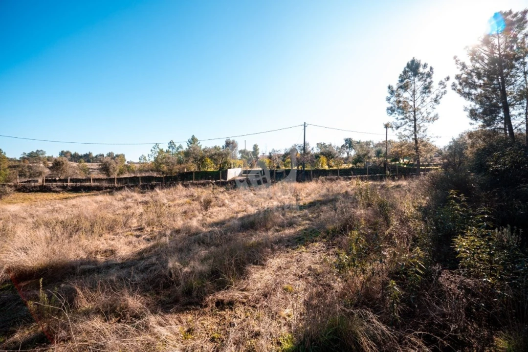Terreno Agricola ou Rústico para Venda em Benquerenças Foto 35