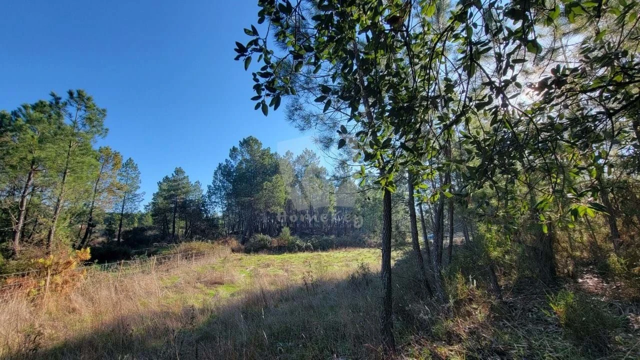Terreno Agricola ou Rústico para Venda em Benquerenças Foto 30